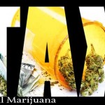 medical marijuana, medical marijuana tax
