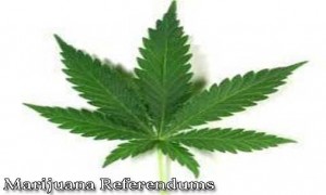 marijuana referendums