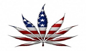 Marijuana leave red white blue 506px x 303px