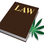 Marijuana Laws