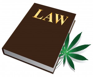 Marijuana Laws