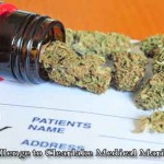 clearlake medical marijuan, medical marijuana cultivation