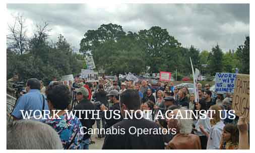 Cannabis Operators