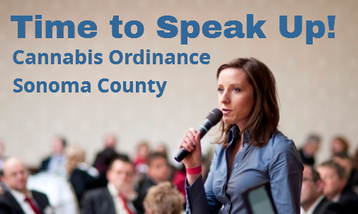 Cannabis Ordinance